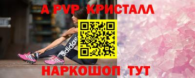 прущие грибы Будённовск
