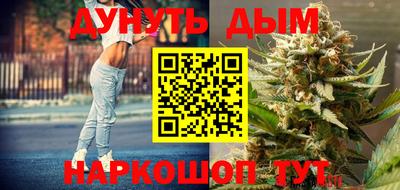 прущие грибы Будённовск